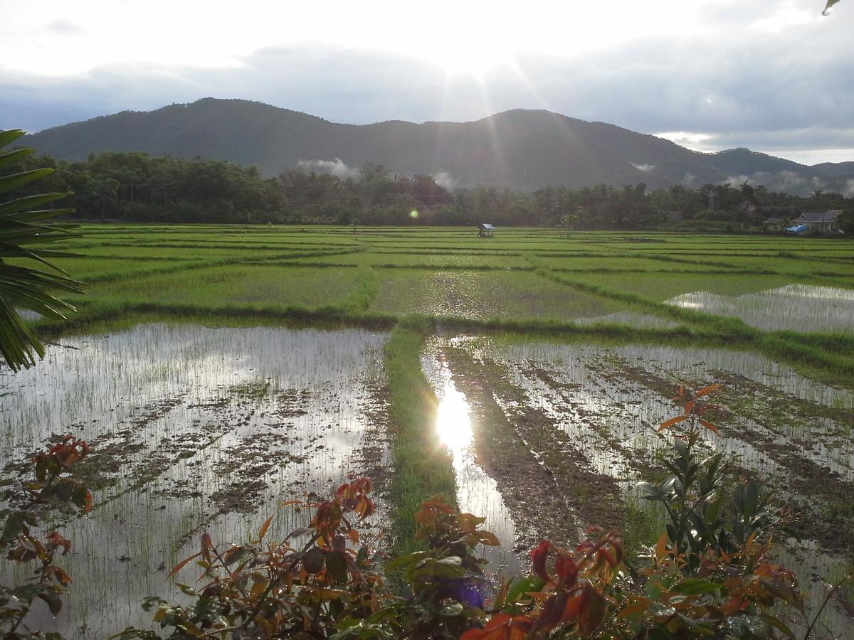Ban Thung Ma Nieo Jamjuree Garden Bed & Breakfast エクステリア 写真