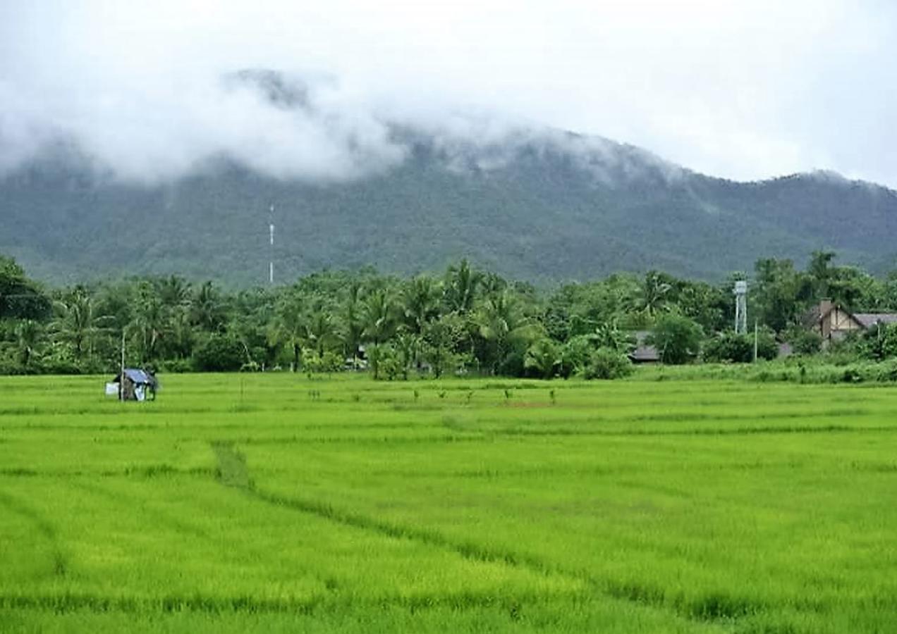 Ban Thung Ma Nieo Jamjuree Garden Bed & Breakfast エクステリア 写真